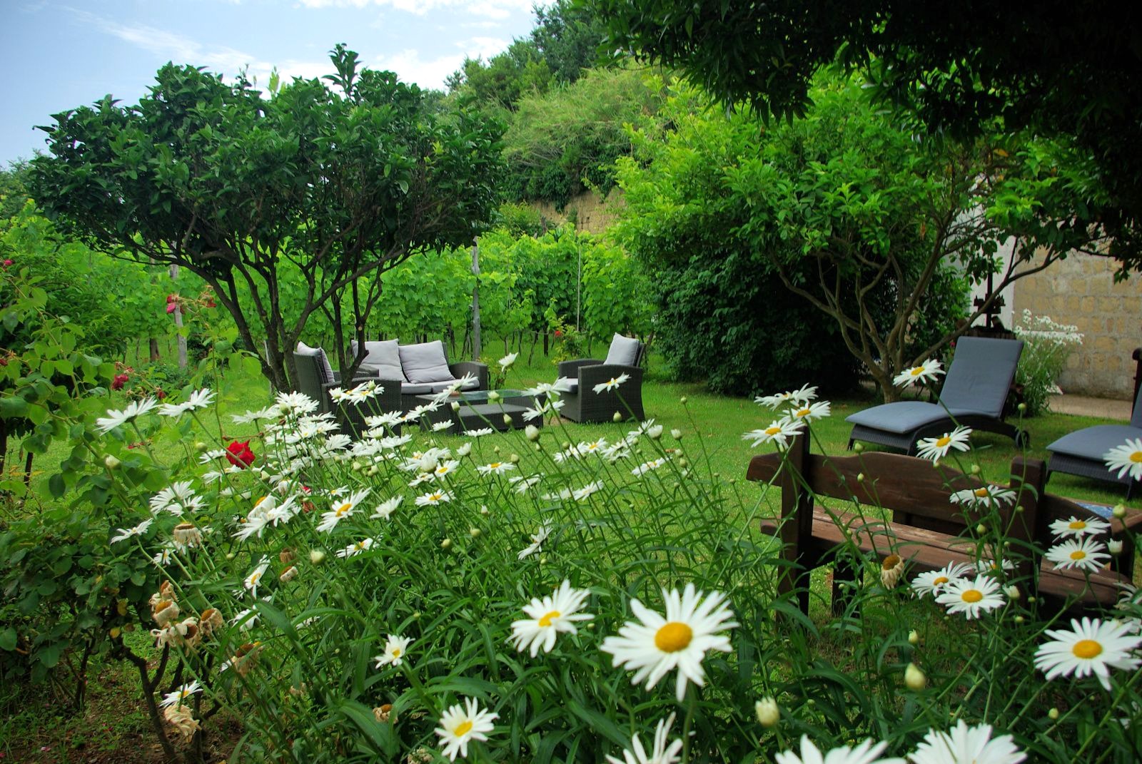 Procida-Hotelgarden