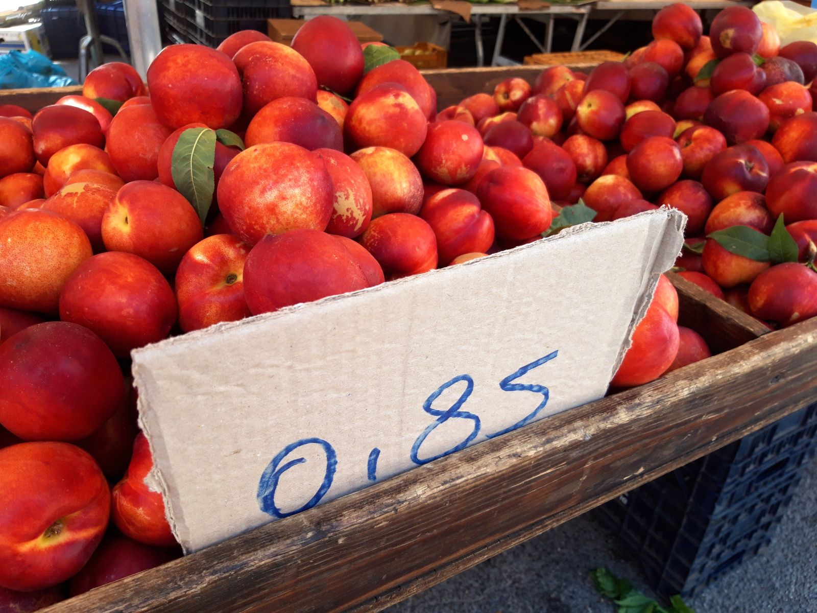 Slow travel in Puglia