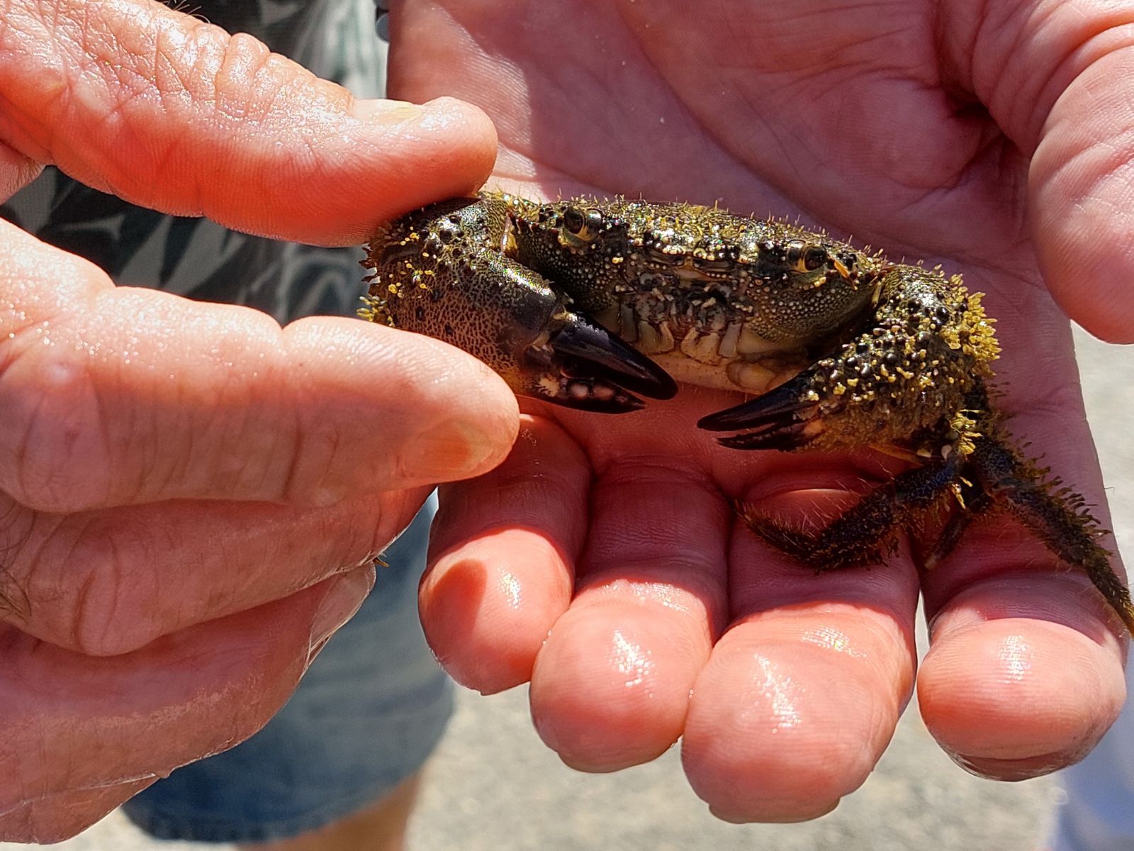 Slow travel in Puglia