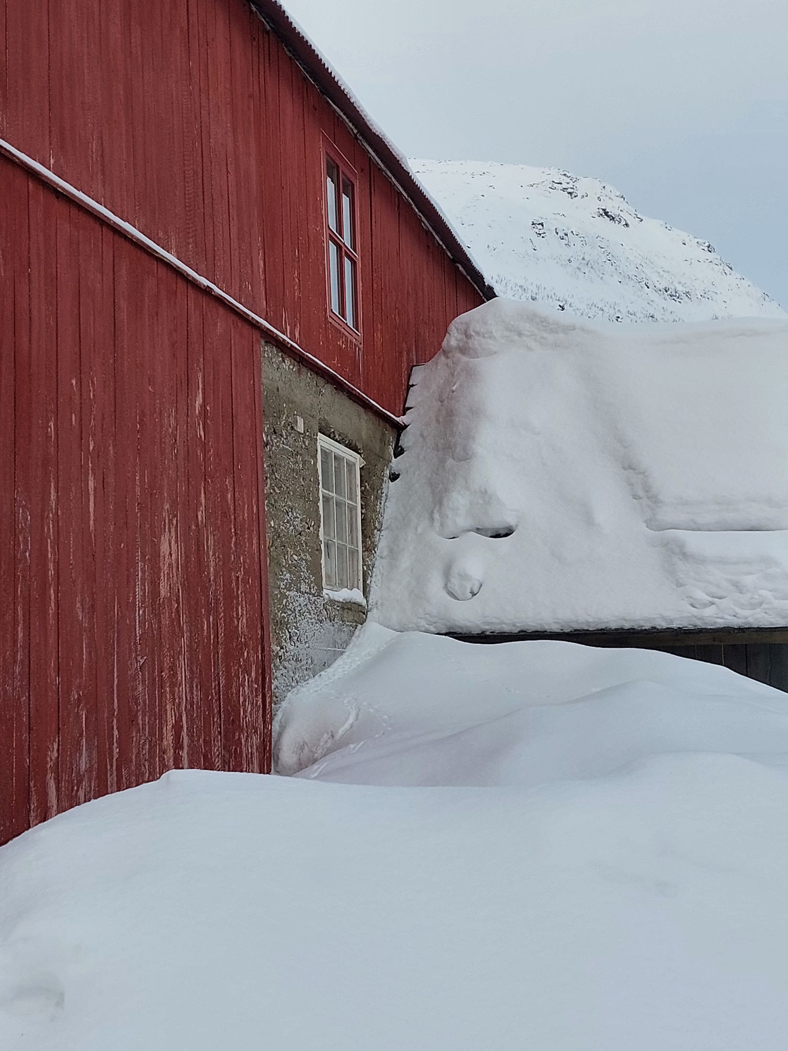 Italy and the Arctic