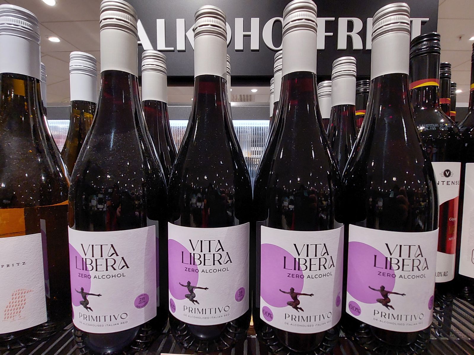 Italy and the Arctic