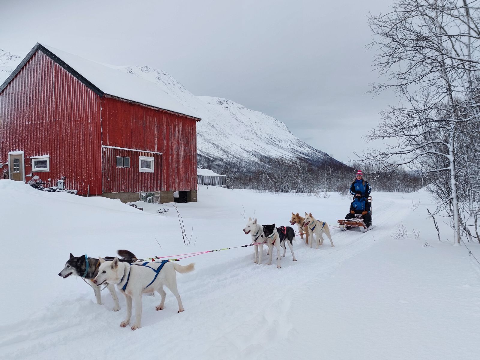 Italy and the Arctic