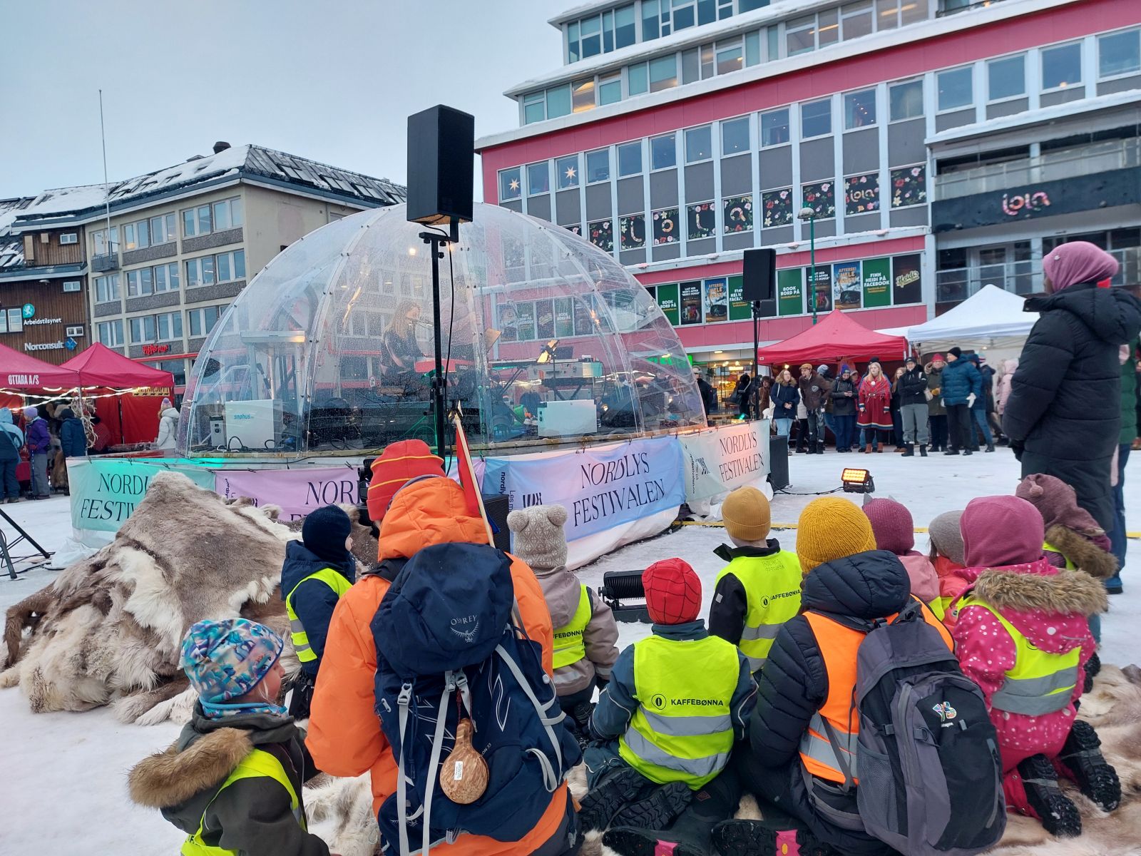 Italy and the Arctic