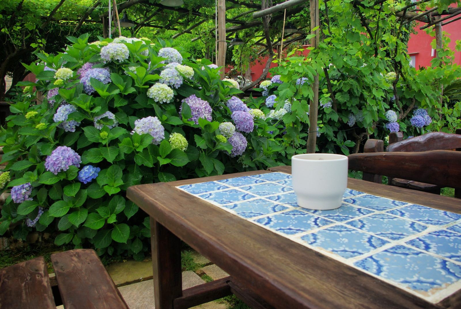 Procida-Hotelgarden