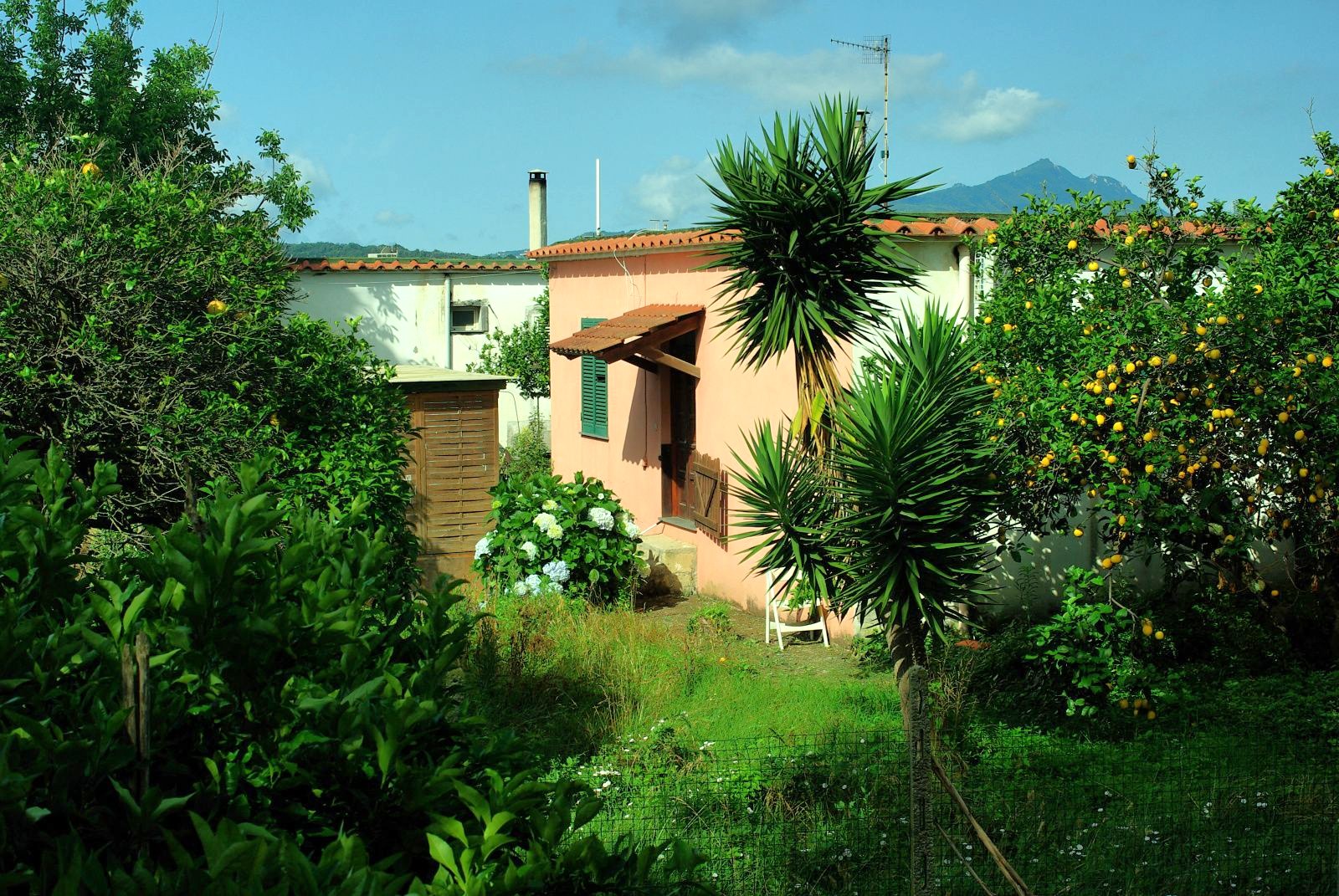 Procida-Garden