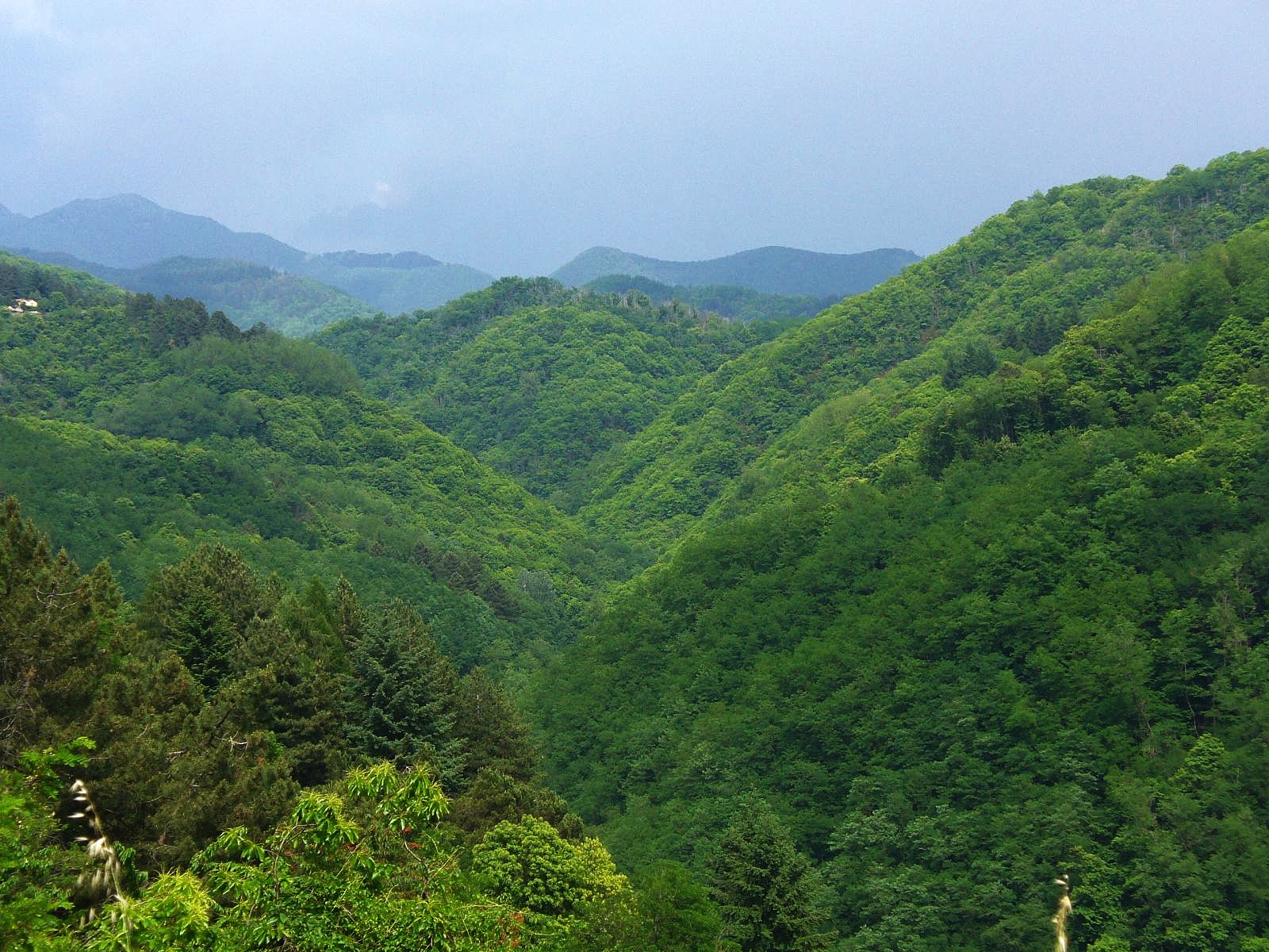Garfagnana