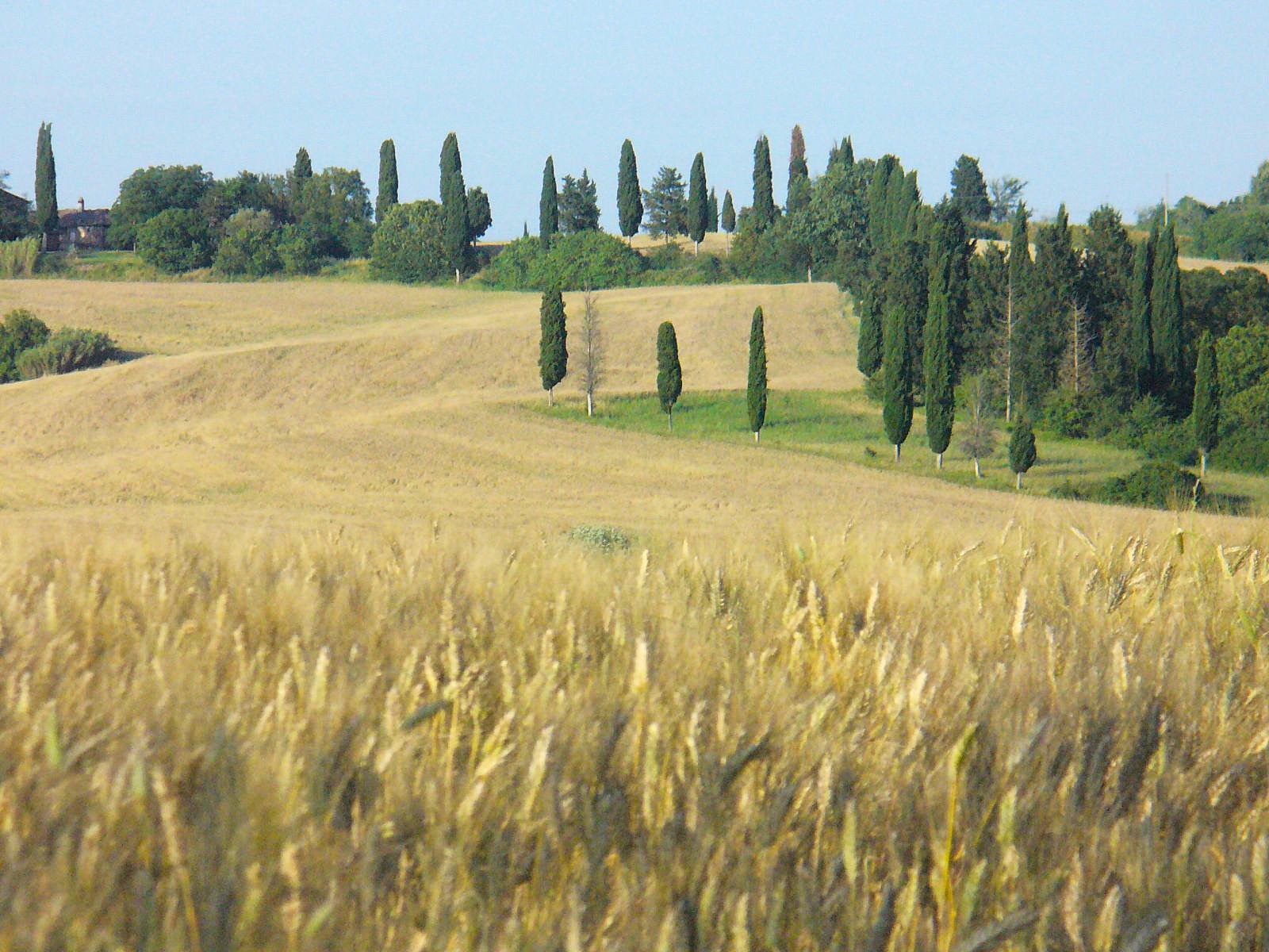 Slow travel in Tuscany
