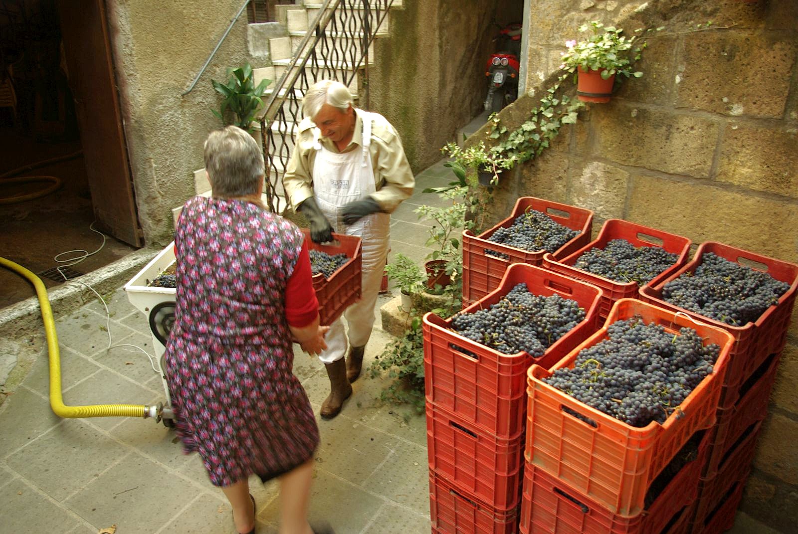 Pitigliano