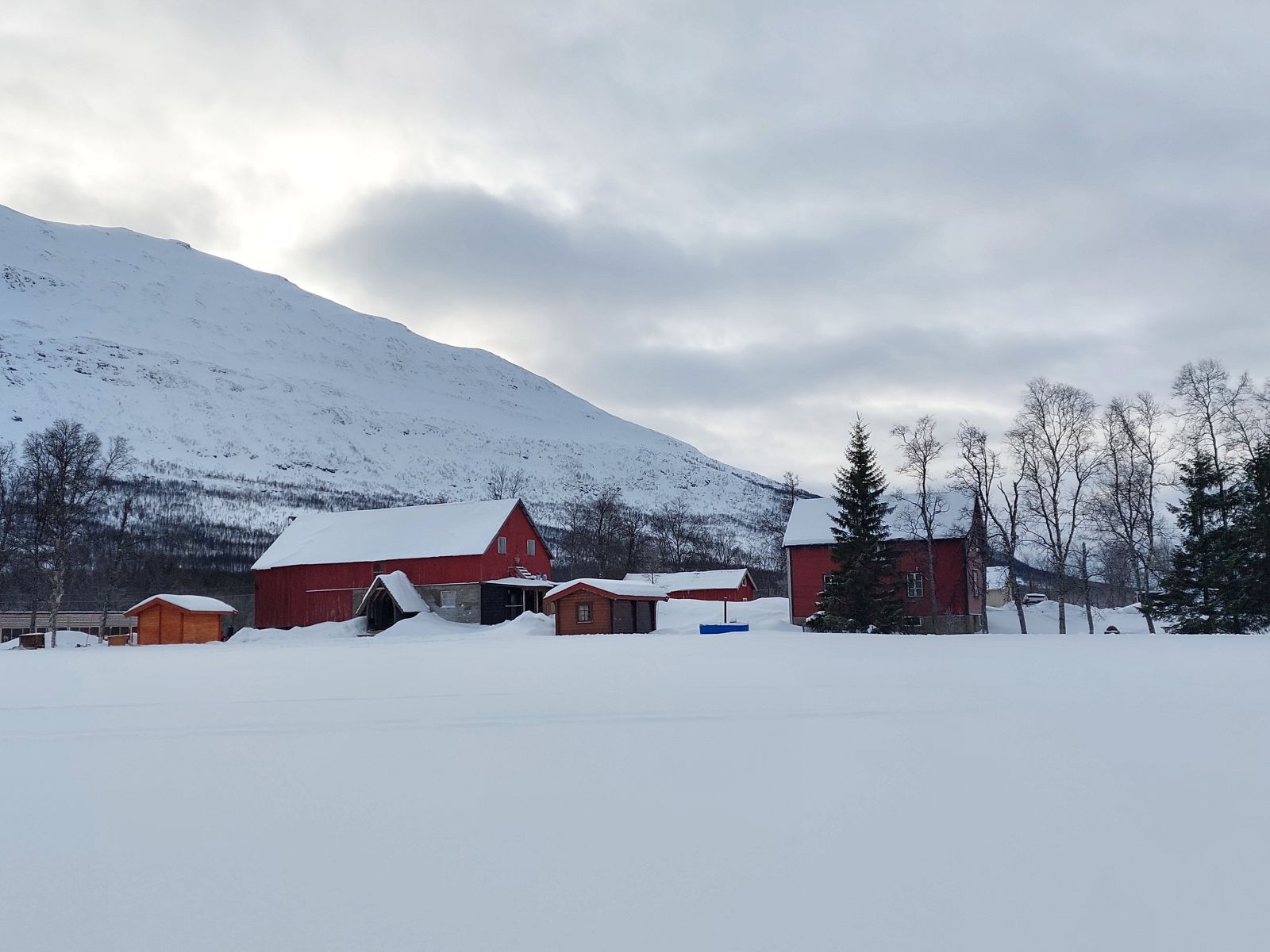 Italy and the Arctic
