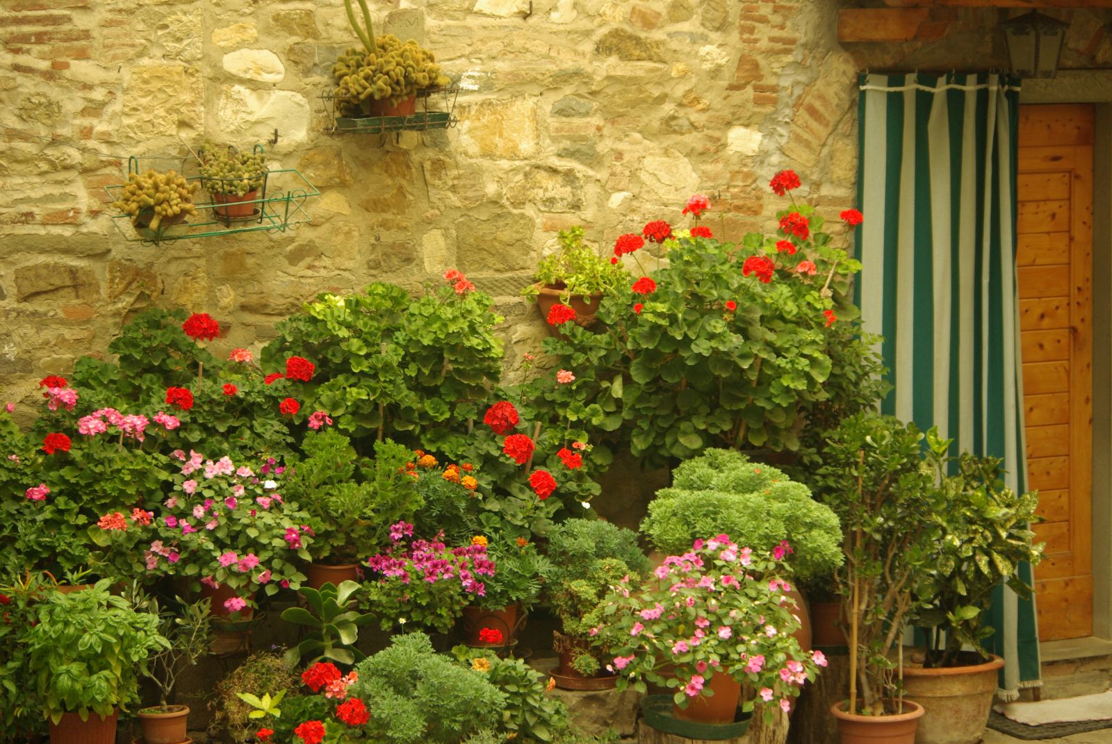 Montefioralle