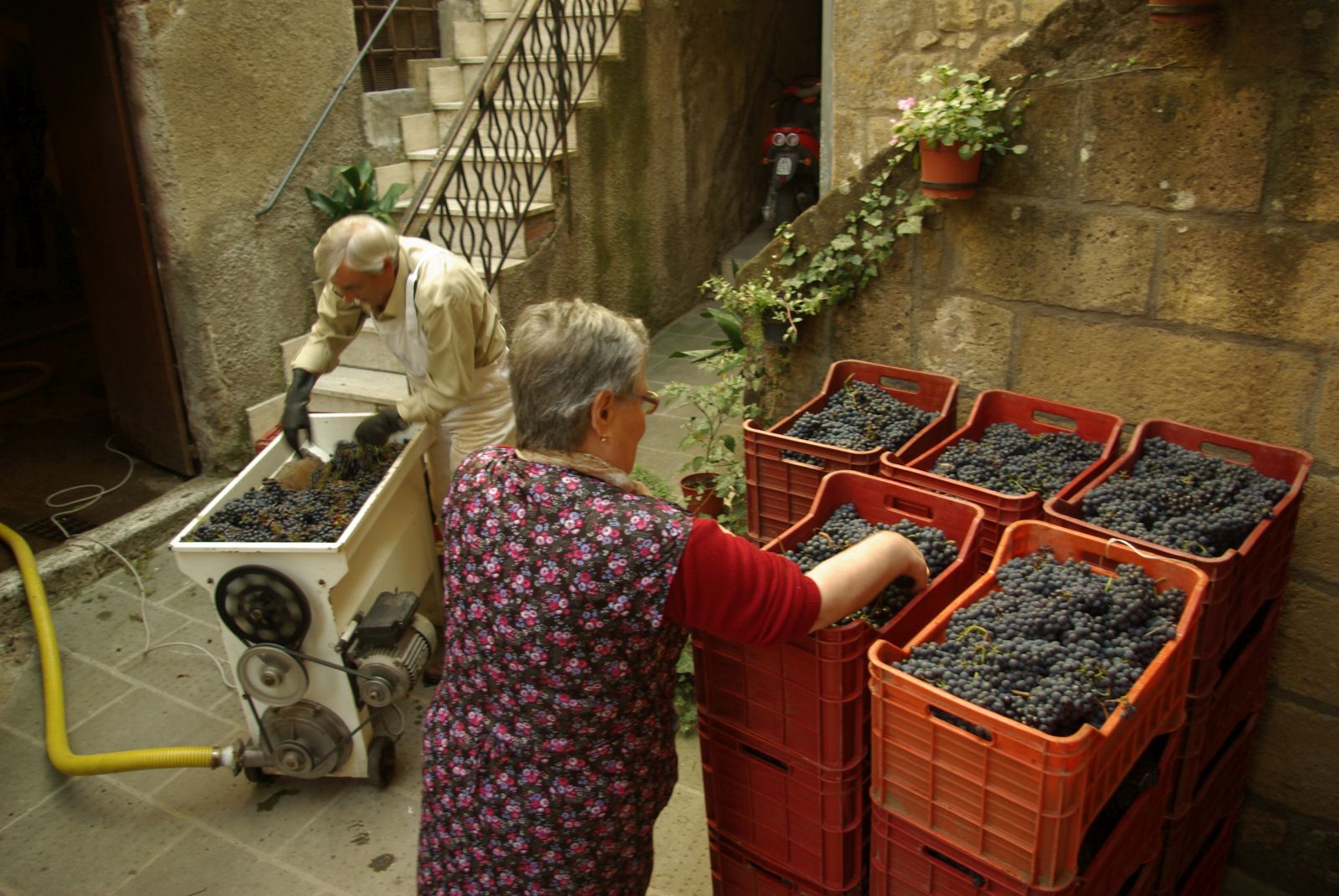 Pitigliano