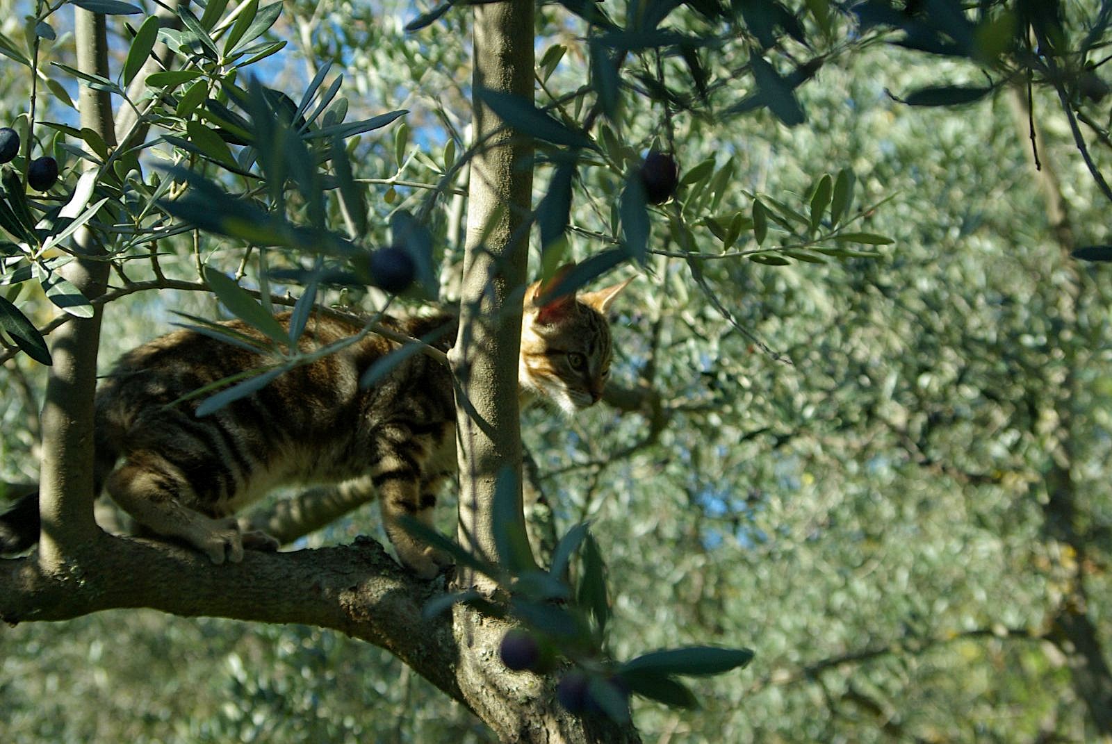 Slow travel in Tuscany