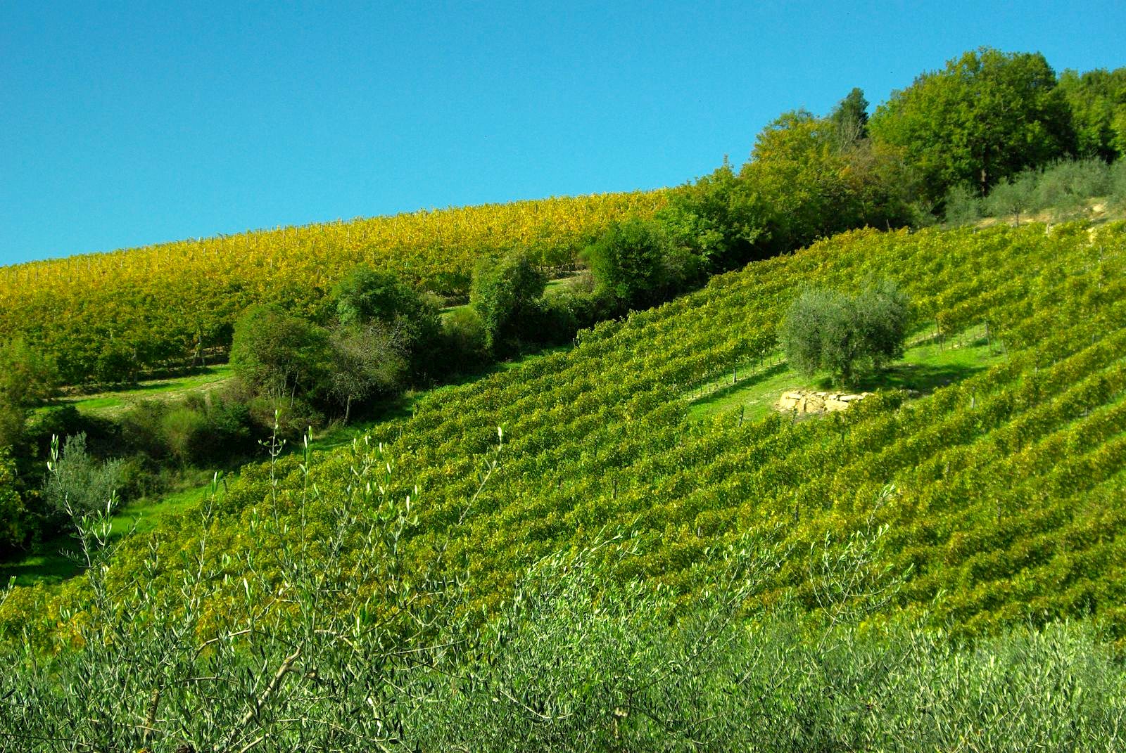 Slow travel in Tuscany
