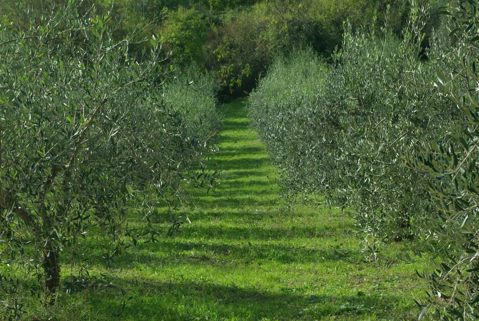 Slow travel in Tuscany
