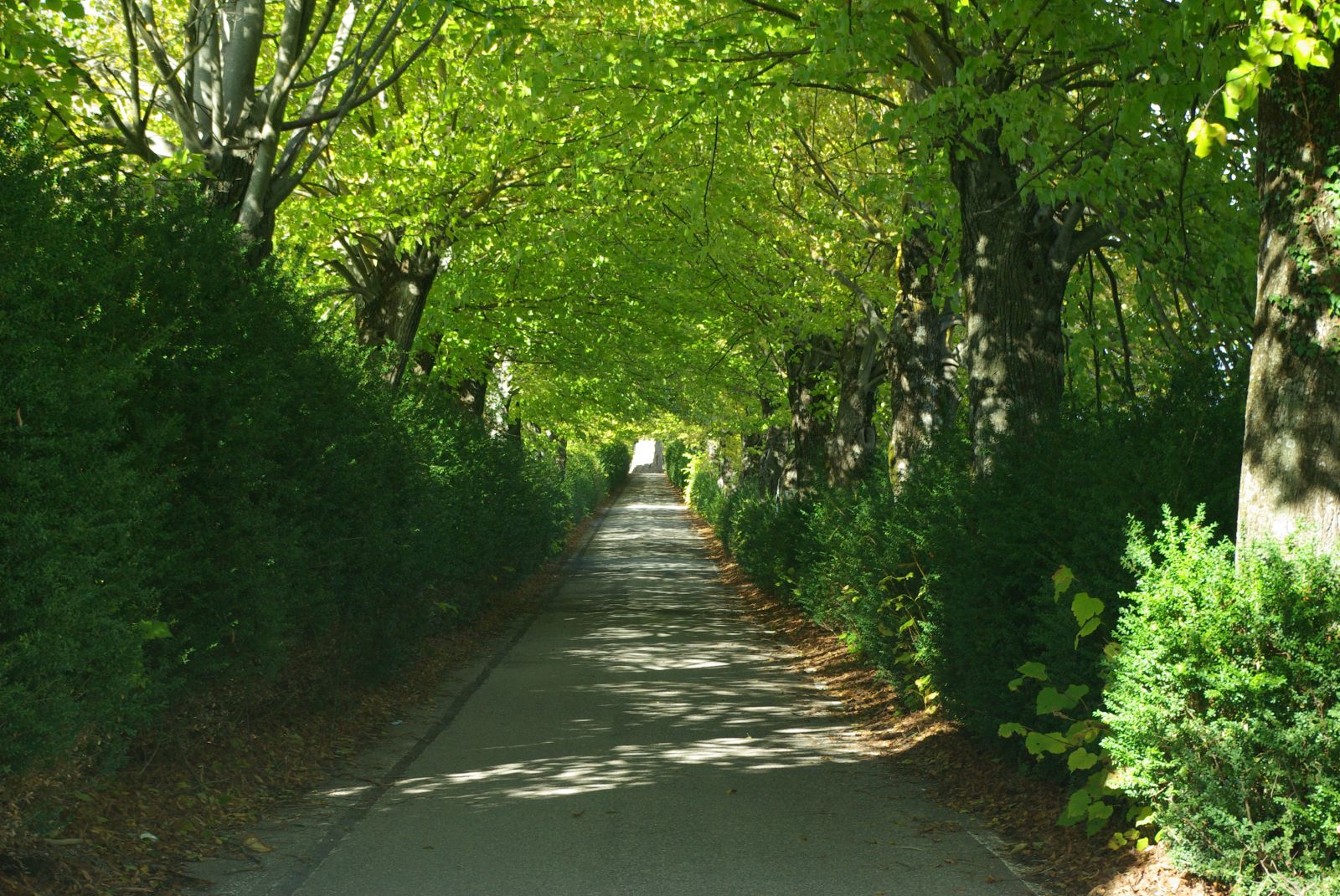 Slow travel in Tuscany