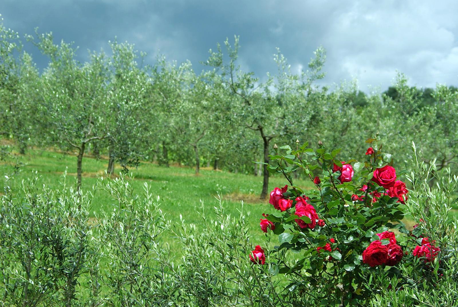 Slow travel in Tuscany