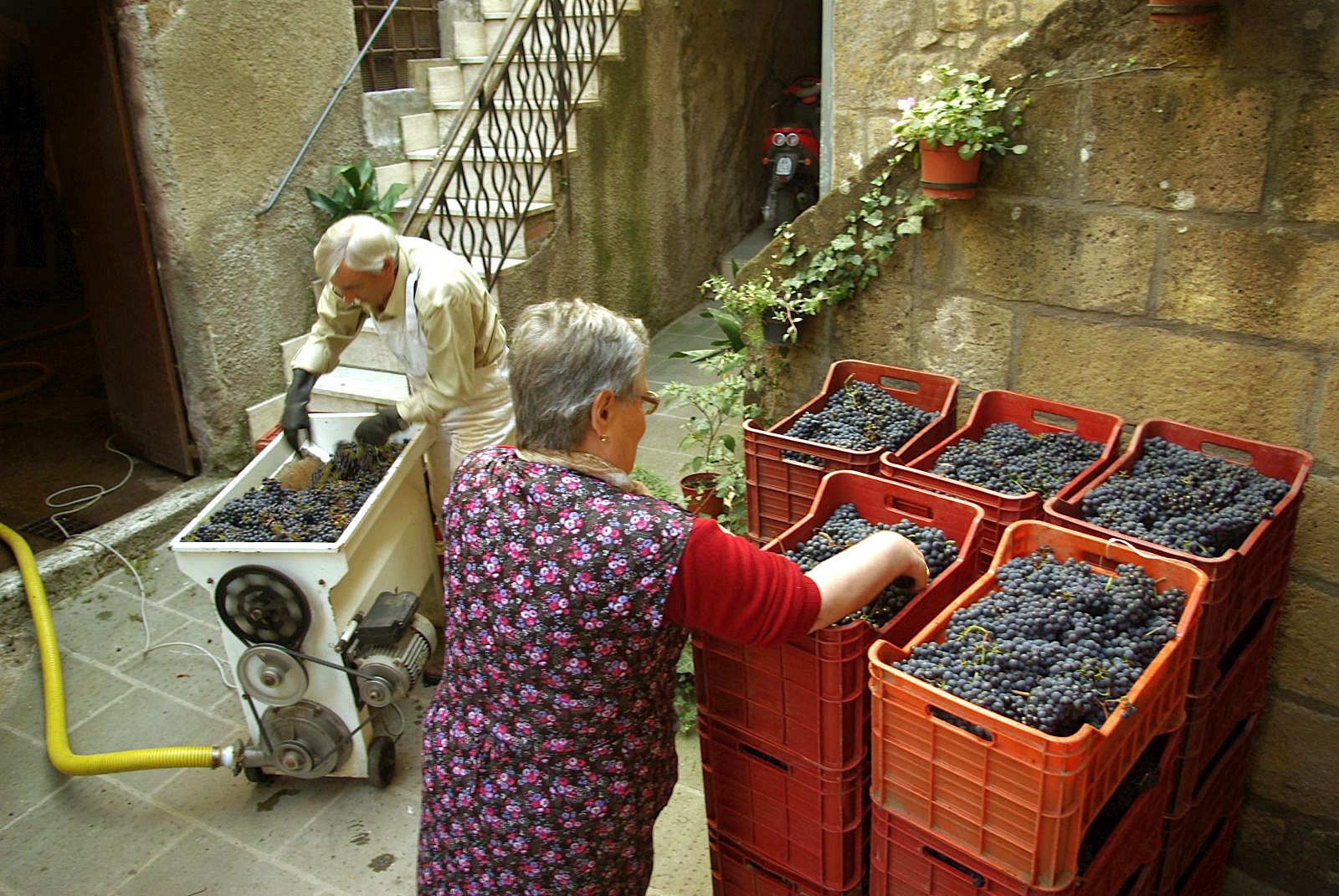 Pitigliano