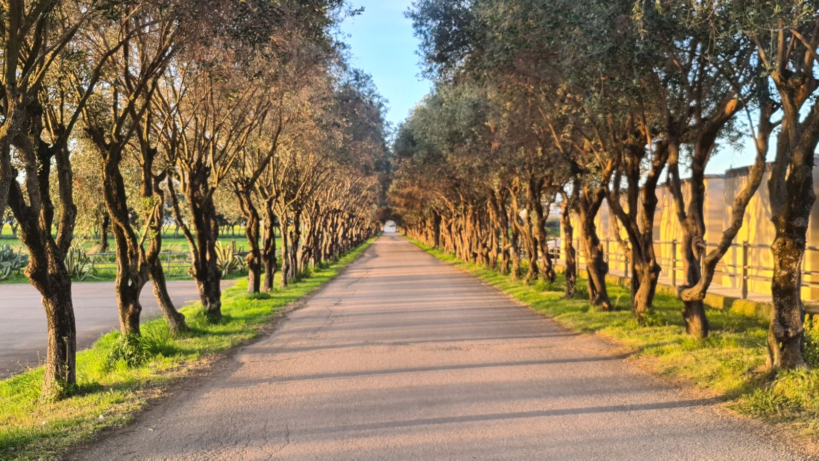Tenuta Vannulo